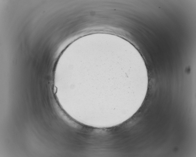 X0000111531523200908251150