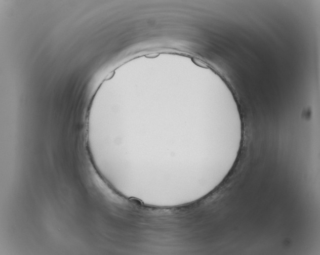 X0000111531524200908251150