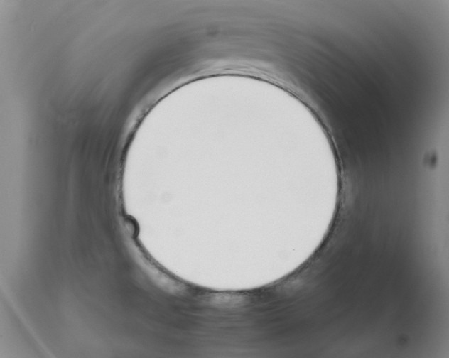 X0000111531525200908251150