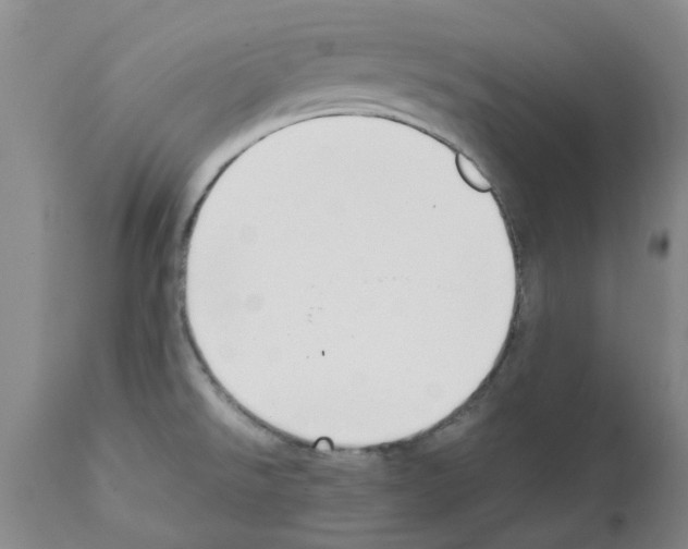 X0000111531526200908251150