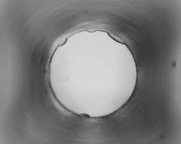 X0000111531528200908251150