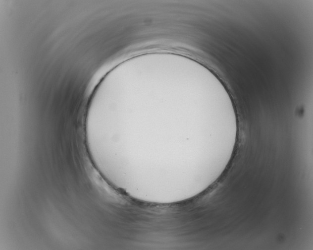 X0000111531530200908251150