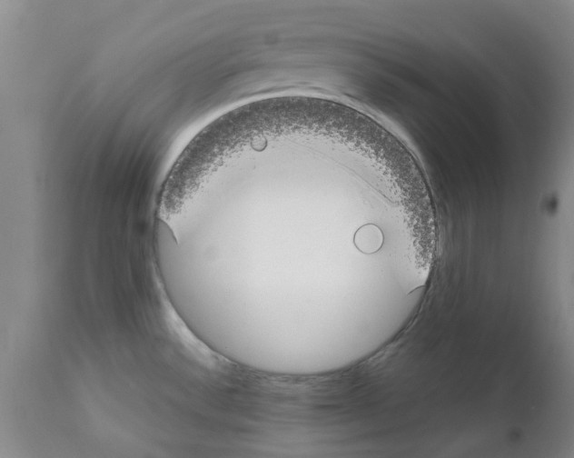 X0000111531532200908251150