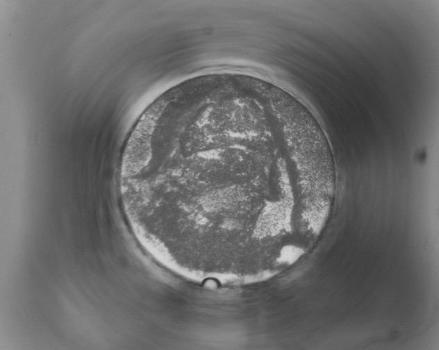 X0000111531533200908251150