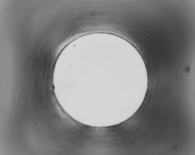 X0000111531534200908251150