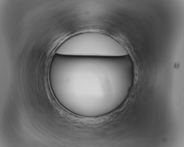 X0000111580001200907161208