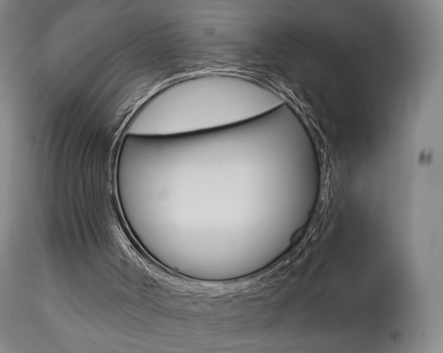 X0000111580002200907161208