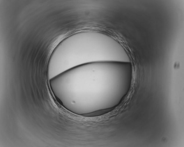 X0000111580003200907161208