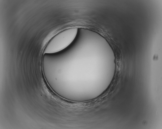 X0000111580004200907161207