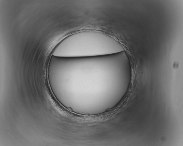 X0000111580005200907161207