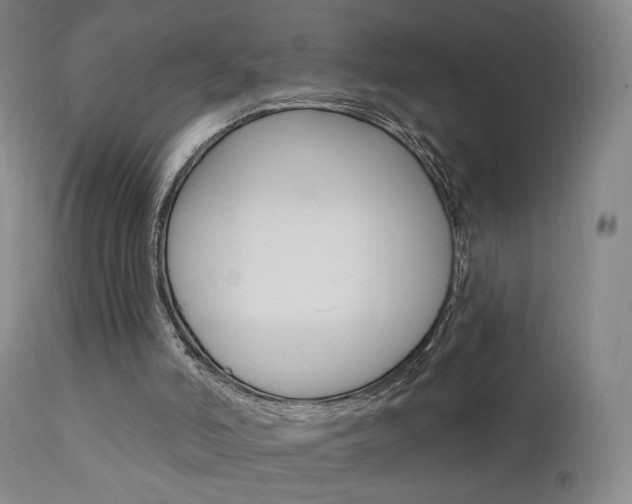 X0000111580006200907161207