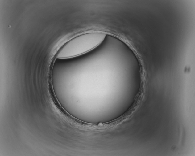X0000111580007200907161207