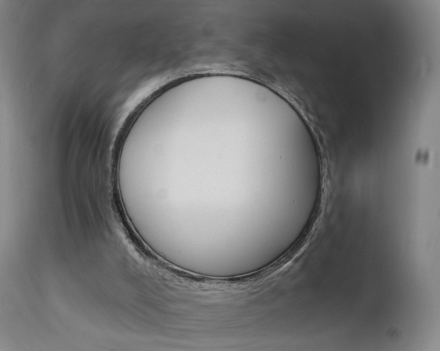 X0000111580008200907161207