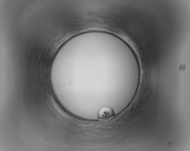 X0000111580009200907161207