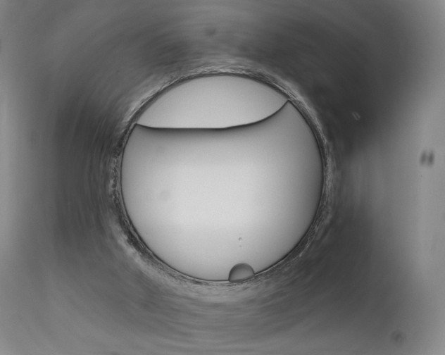 X0000111580010200907161207