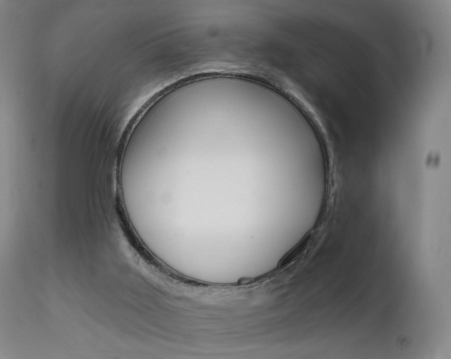 X0000111580011200907161207