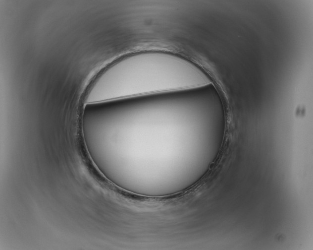 X0000111580012200907161207