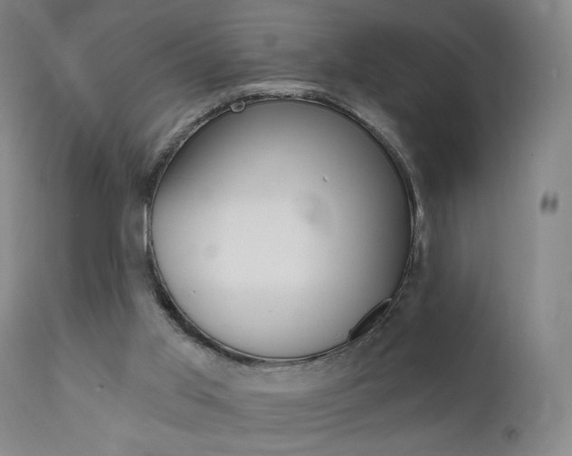 X0000111580013200907161207