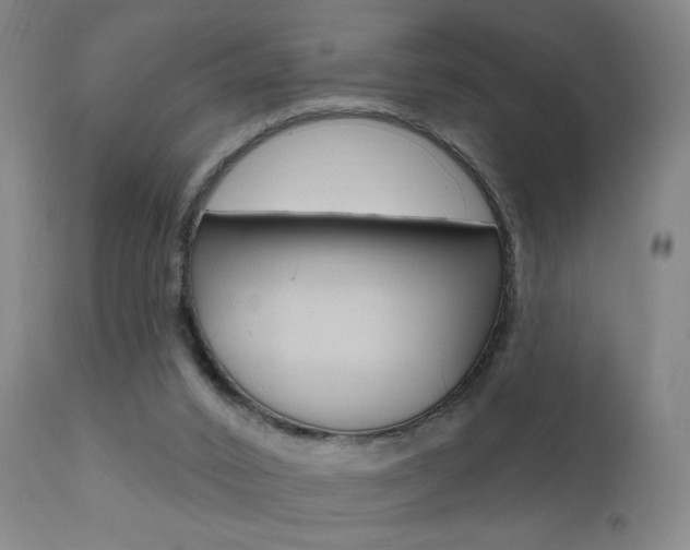 X0000111580016200907161207