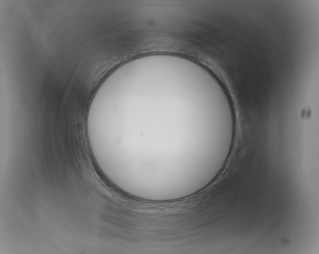X0000111580017200907161207