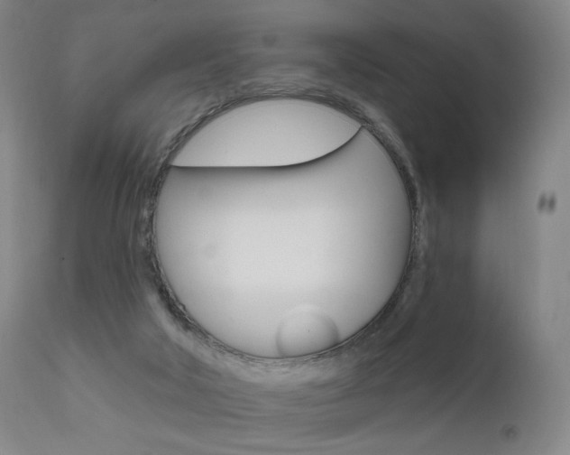 X0000111580018200907161207