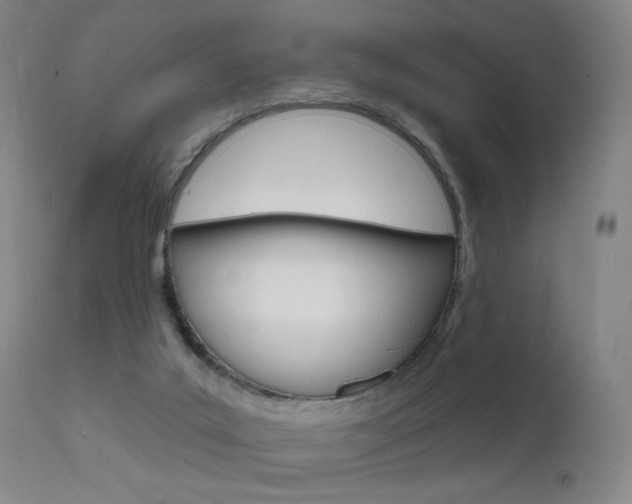 X0000111580019200907161207