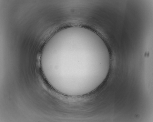 X0000111580022200907161207