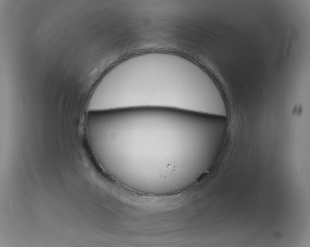 X0000111580023200907161207