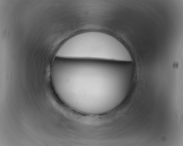 X0000111580024200907161207