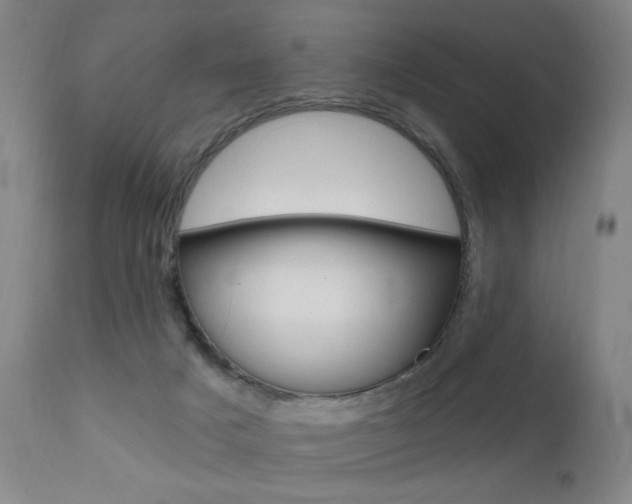 X0000111580025200907161207