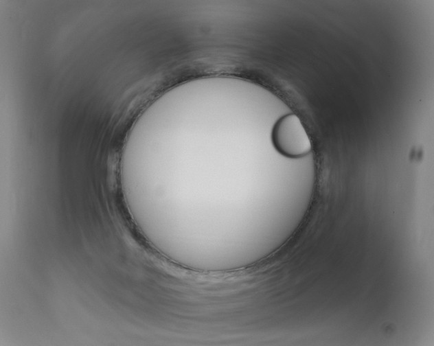 X0000111580026200907161207