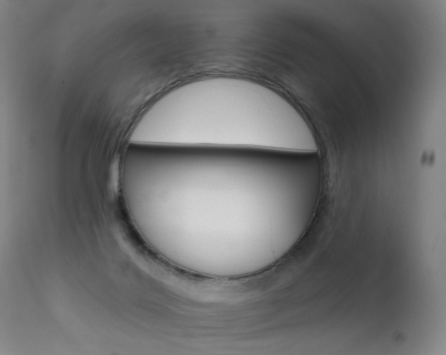 X0000111580028200907161207