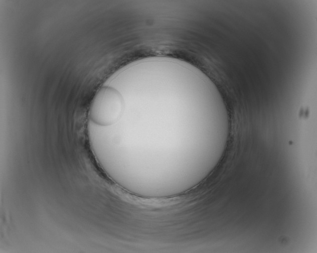 X0000111580030200907161207