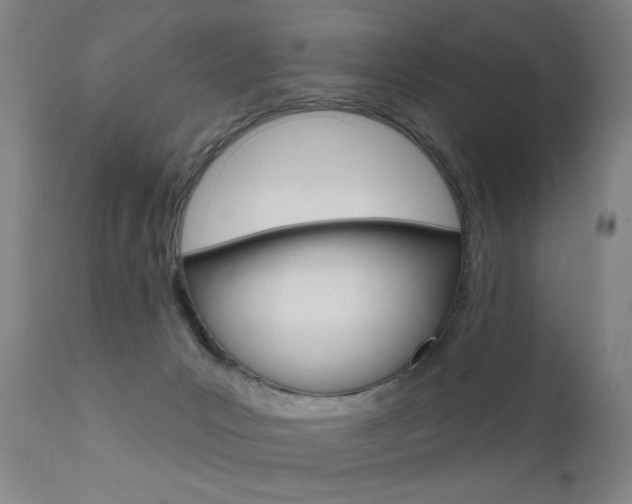 X0000111580031200907161207