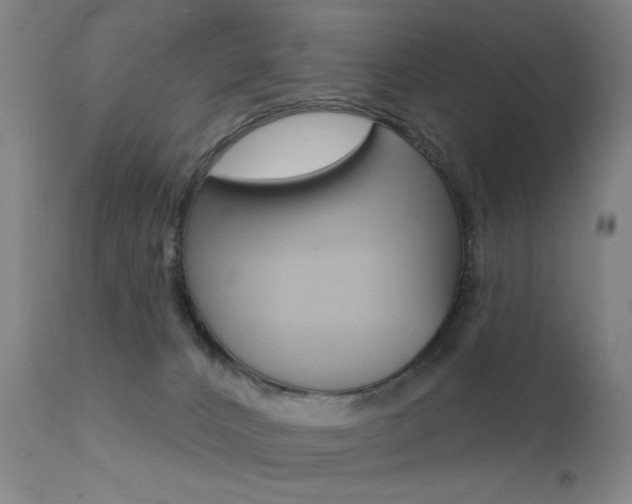 X0000111580032200907161207