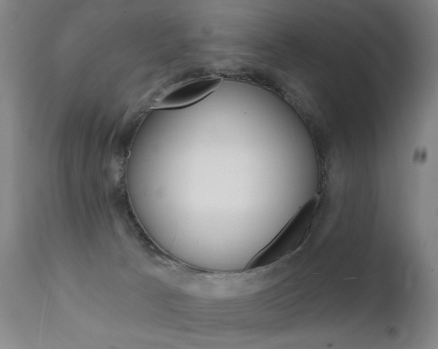 X0000111580033200907161207