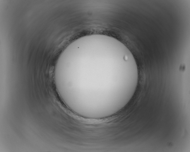 X0000111580034200907161207