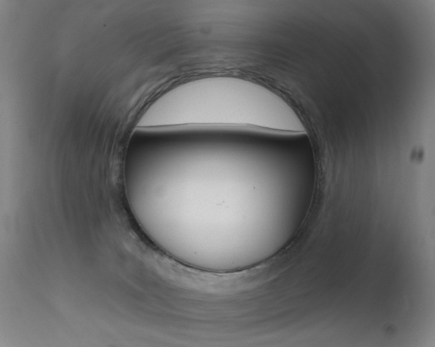 X0000111580035200907161207