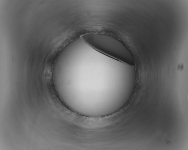 X0000111580037200907161207