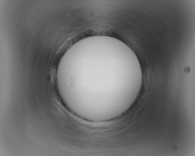 X0000111580038200907161207
