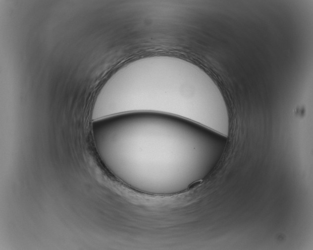 X0000111580039200907161207