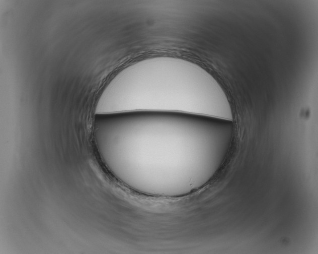 X0000111580040200907161207