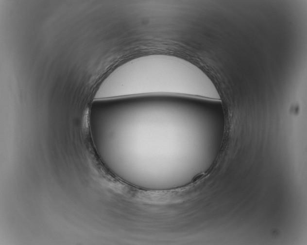 X0000111580041200907161207