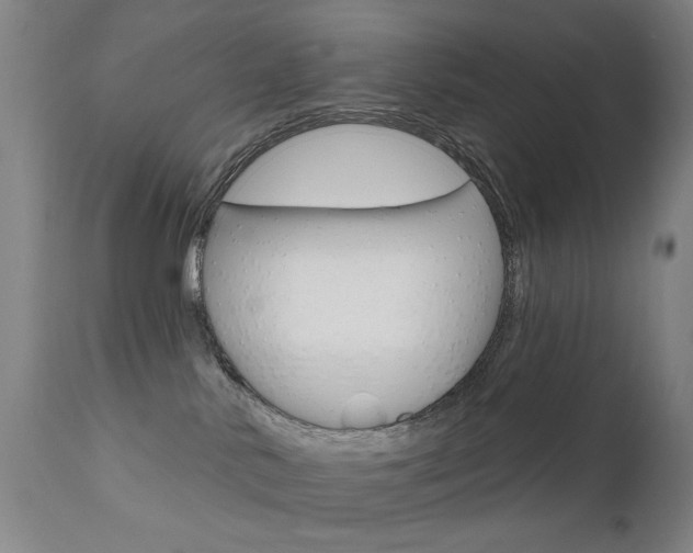 X0000111580042200907161207