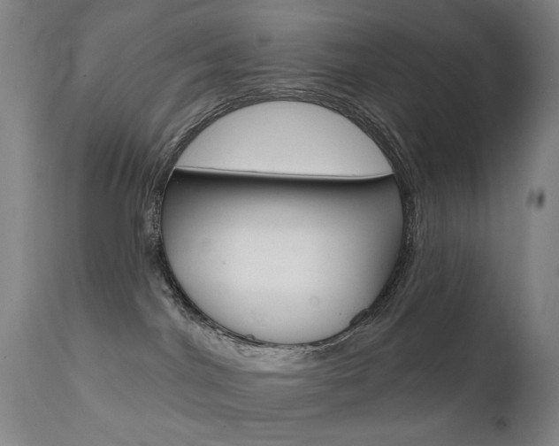 X0000111580044200907161207