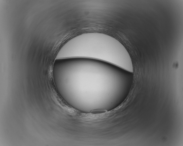 X0000111580045200907161207