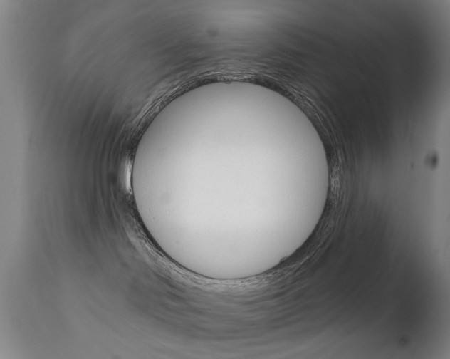 X0000111580046200907161207