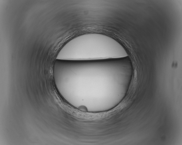 X0000111580048200907161207