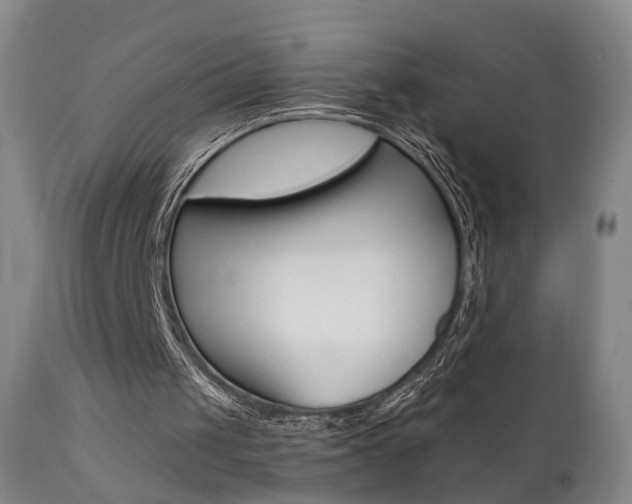 X0000111580049200907161206