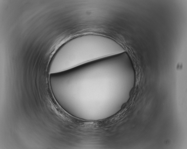 X0000111580050200907161206